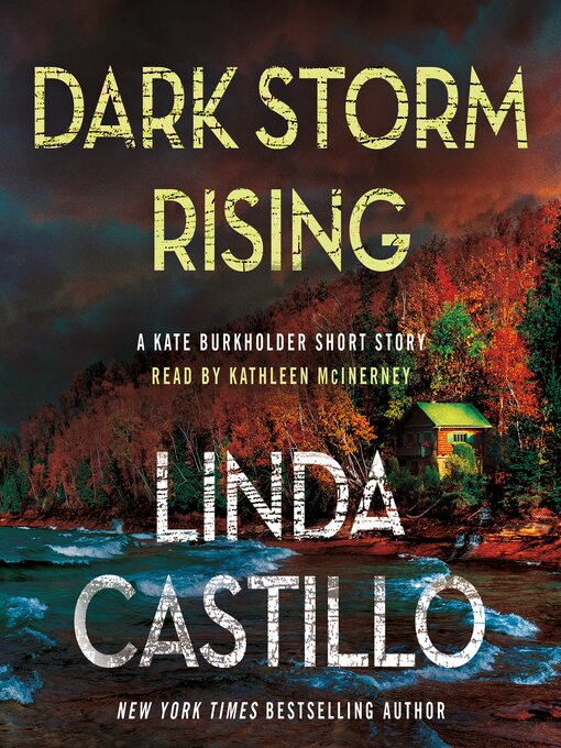 Title details for Dark Storm Rising by Linda Castillo - Wait list